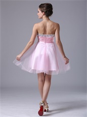 Pink Tulle Sweetheart Petite Cocktail Dress Springtime Wear