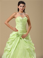 Apple Yellow Green Taffeta Skirt Prom Ball Gown Open Organza Inside