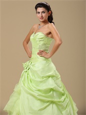 Apple Yellow Green Taffeta Skirt Prom Ball Gown Open Organza Inside