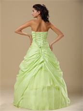 Apple Yellow Green Taffeta Skirt Prom Ball Gown Open Organza Inside