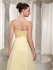 Strapless Floor-length Daffodil Organza Prom Dress With Colorful Petals