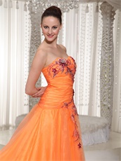 Hot Sell Classical Style Orange Organza Sweetheart Prom Dress Appliques