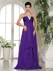 New Look V Shaped Eggplant Purple Prom Celebrity Dress Make You Own