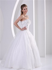 Simple Strapless Appliques Princess Wedding Anniversary Dress Low Price