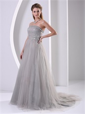 Graceful Strapless A-line Silver Grey Tulle Host Prom Dress Custom Tailoring