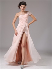 Blush Pearl Pink Chiffon Single Shoulder Dress To Attend Annual Meeting