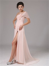 Blush Pearl Pink Chiffon Single Shoulder Dress To Attend Annual Meeting