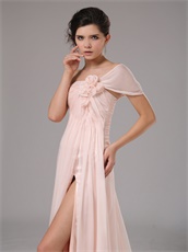 Blush Pearl Pink Chiffon Single Shoulder Dress To Attend Annual Meeting