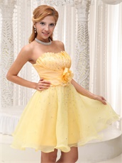 Daffodil Plicated Flower Decorate Organza Dress For Classmate Reunion On Sale