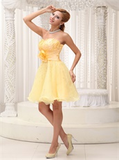 Daffodil Plicated Flower Decorate Organza Dress For Classmate Reunion On Sale