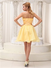 Daffodil Plicated Flower Decorate Organza Dress For Classmate Reunion On Sale