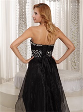 Black Organza Compere High Low Evening Dress Show Legs