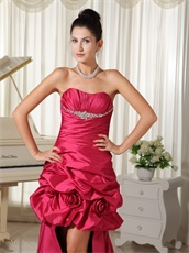 Hot Pink Taffeta High Low Prom Dress With Leopard Printed Inside Exclusive