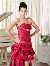 Hot Pink Taffeta High Low Prom Dress With Leopard Printed Inside Exclusive