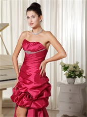 Hot Pink Taffeta High Low Prom Dress With Leopard Printed Inside Exclusive