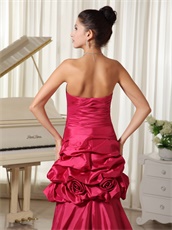 Hot Pink Taffeta High Low Prom Dress With Leopard Printed Inside Exclusive