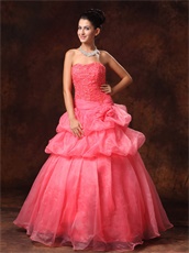 Watermelon Organza New Arrival Princess Prom Dress Little Puffy