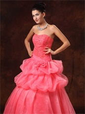 Watermelon Organza New Arrival Princess Prom Dress Little Puffy