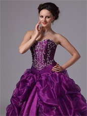 Eggplant Purple Organza Quinceanera Dress Side Bluging Bubble Train