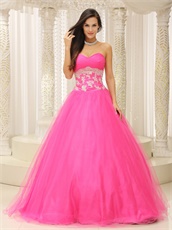 Lumber Corset Applique Waist Rose Pink Tulle Prom Dance Ball Gown