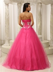 Lumber Corset Applique Waist Rose Pink Tulle Prom Dance Ball Gown