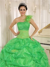 Grass Green Fully Bubble Quinceanera Dress Handmade Flowers Single Strap