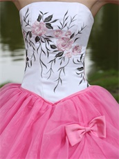 Embroidery Upper Part Hot Pink Skirt Quinceanera Gowns Online Store