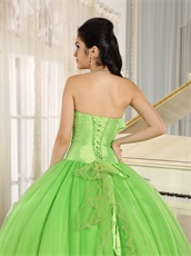 Pretty Spring Green Cakes Puffy Gown For Quinceanera Girl Wear