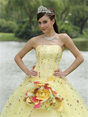 Lolita Cute Daffodil Quinceanera Ball Gown Runway Pageant