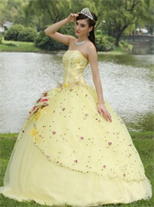 Lolita Cute Daffodil Quinceanera Ball Gown Runway Pageant