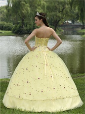 Lolita Cute Daffodil Quinceanera Ball Gown Runway Pageant