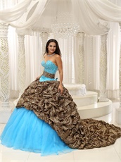 V-Shaped Leopard Bubble Train Aqua Quinceanera Court Dress Exquisite Style