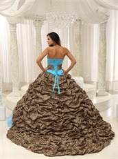 V-Shaped Leopard Bubble Train Aqua Quinceanera Court Dress Exquisite Style