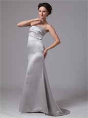 Sliver Junoesque Mother Dress For Wedding Ceremony Customize Side Zipper