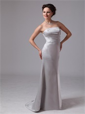 Sliver Junoesque Mother Dress For Wedding Ceremony Customize Side Zipper