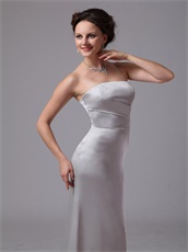 Sliver Junoesque Mother Dress For Wedding Ceremony Customize Side Zipper