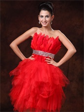 Amazing BodyU Feather Short Red Skirt Engagement Gowns Customize Made