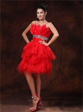 Amazing BodyU Feather Short Red Skirt Engagement Gowns Customize Made