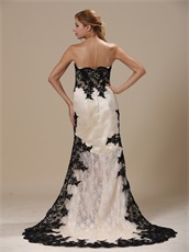 Exquisite Champagne High-low Skirt Black Lacework Brush Prom Dress Custom Fit