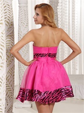 Hot Pink Organza Mini-length Zebra Choir Dress Wholesale Price