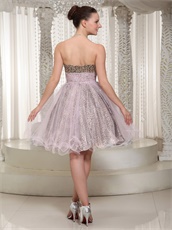 Sweetheart Leopard Lining Covered With Pink Tulle Mini Prom Dress