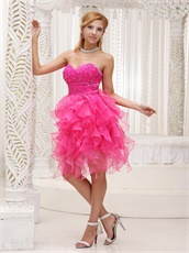 Fashionable Hot Pink Sweetheart Ruffles Dress For Cocktail Party