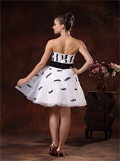 Likable Short White Prom Gowns Black Eyelash Ciliiform Lacework