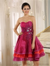 Fuchsia and Red Layers Vacation Cocktail Dress Married Women