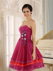 Fuchsia and Red Layers Vacation Cocktail Dress Married Women