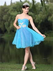 Purple Covered With Skye Blue Organza Prom Outdoor BBQ Party Dress Mini