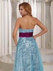 Printed Zebra Covered With Aqua Organza Ceremony Dress Magenta Sash