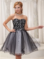 Little Black Lace Bodice Puffy Tulle Dress Group Purchase Discount