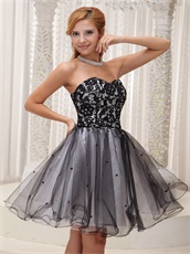 Little Black Lace Bodice Puffy Tulle Dress Group Purchase Discount