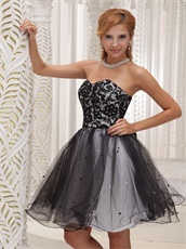 Little Black Lace Bodice Puffy Tulle Dress Group Purchase Discount